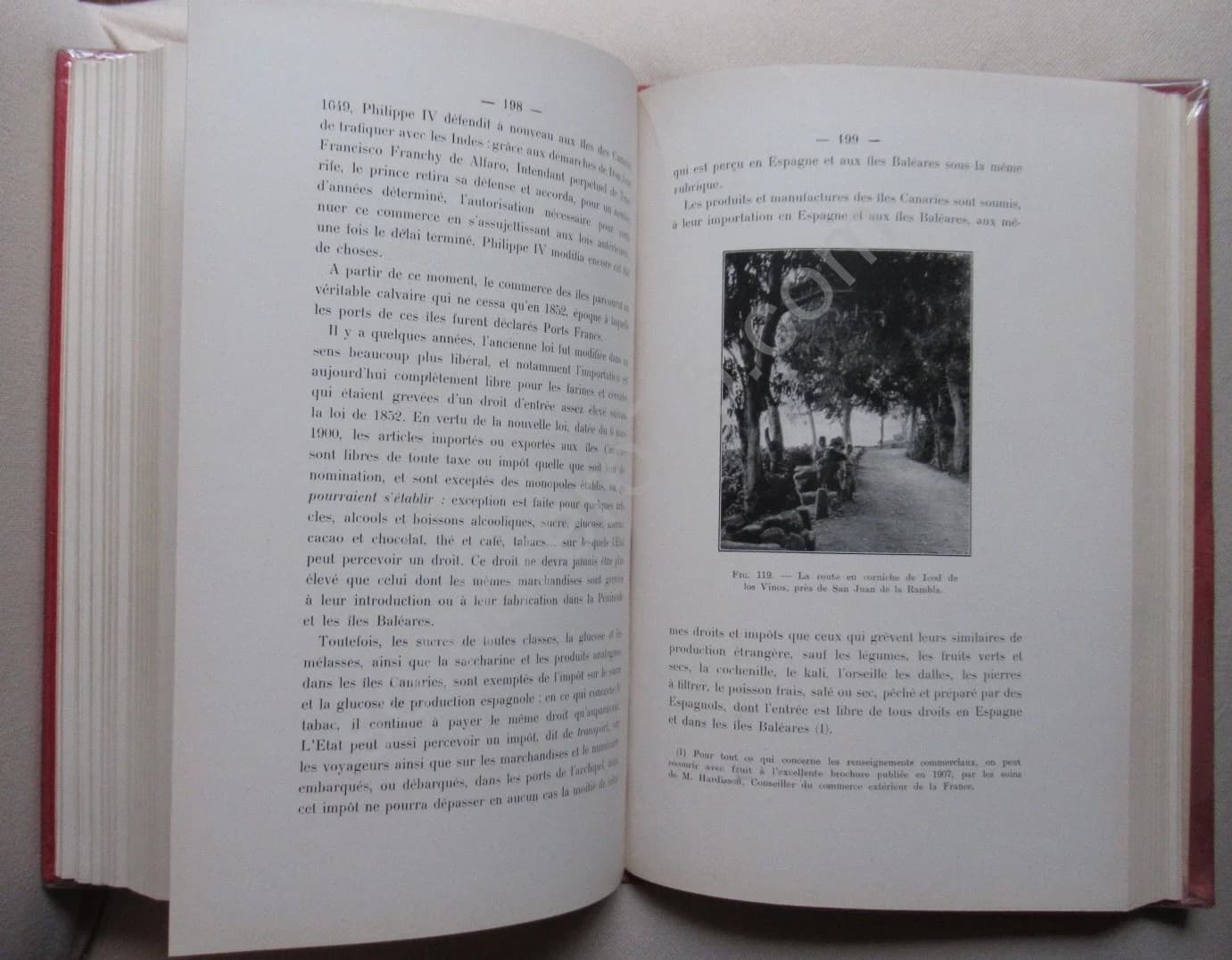 Impressions et Observations dans un Voyage à Tenerife - Image 5