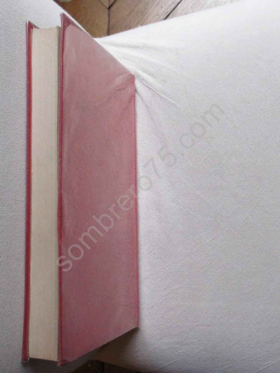 Impressions et Observations dans un Voyage à Tenerife - Image 6