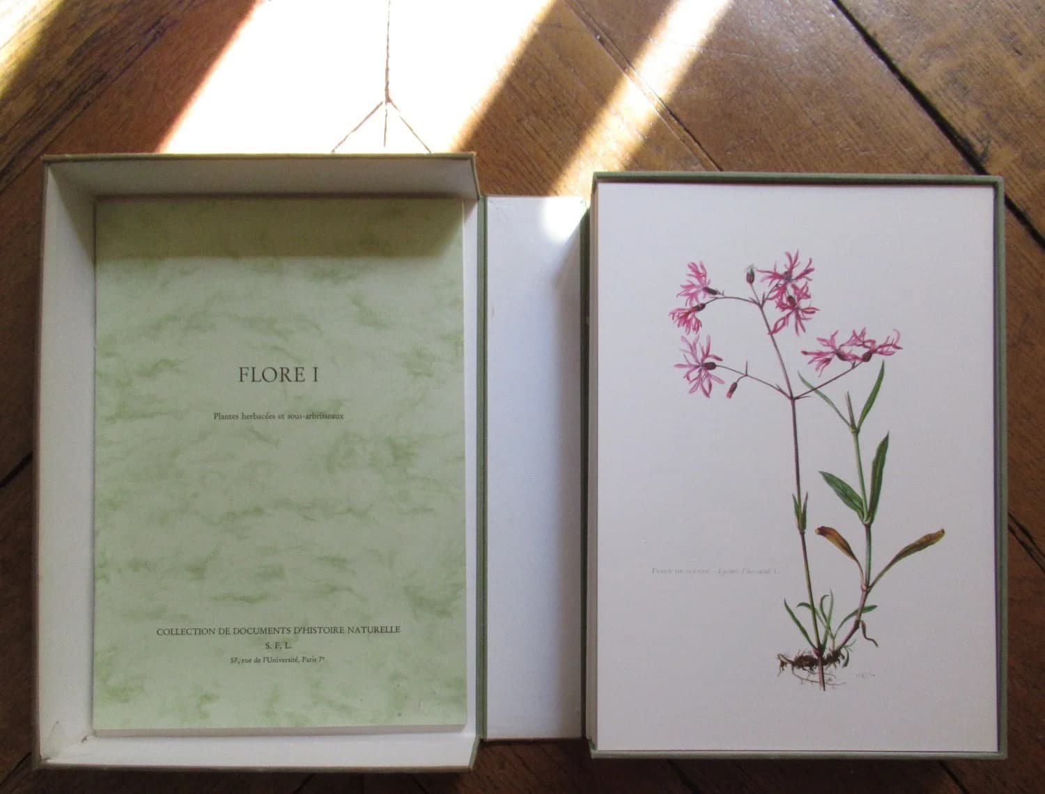 Flore d'Europe I - Plantes Herbacées et sous arbrisseaux. Caspari et Grossmann - Image 4