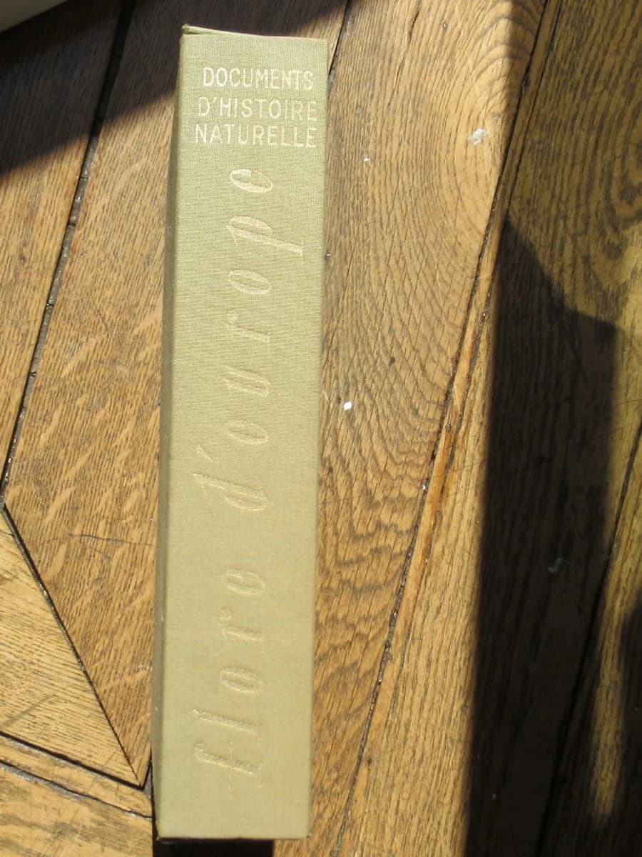 Flore d'Europe I - Plantes Herbacées et sous arbrisseaux. Caspari et Grossmann - Image 5