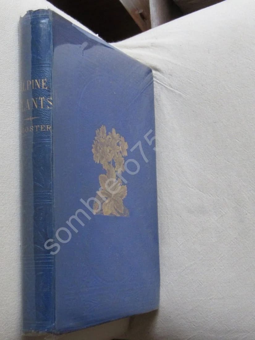 Alpine Plants - Image 2