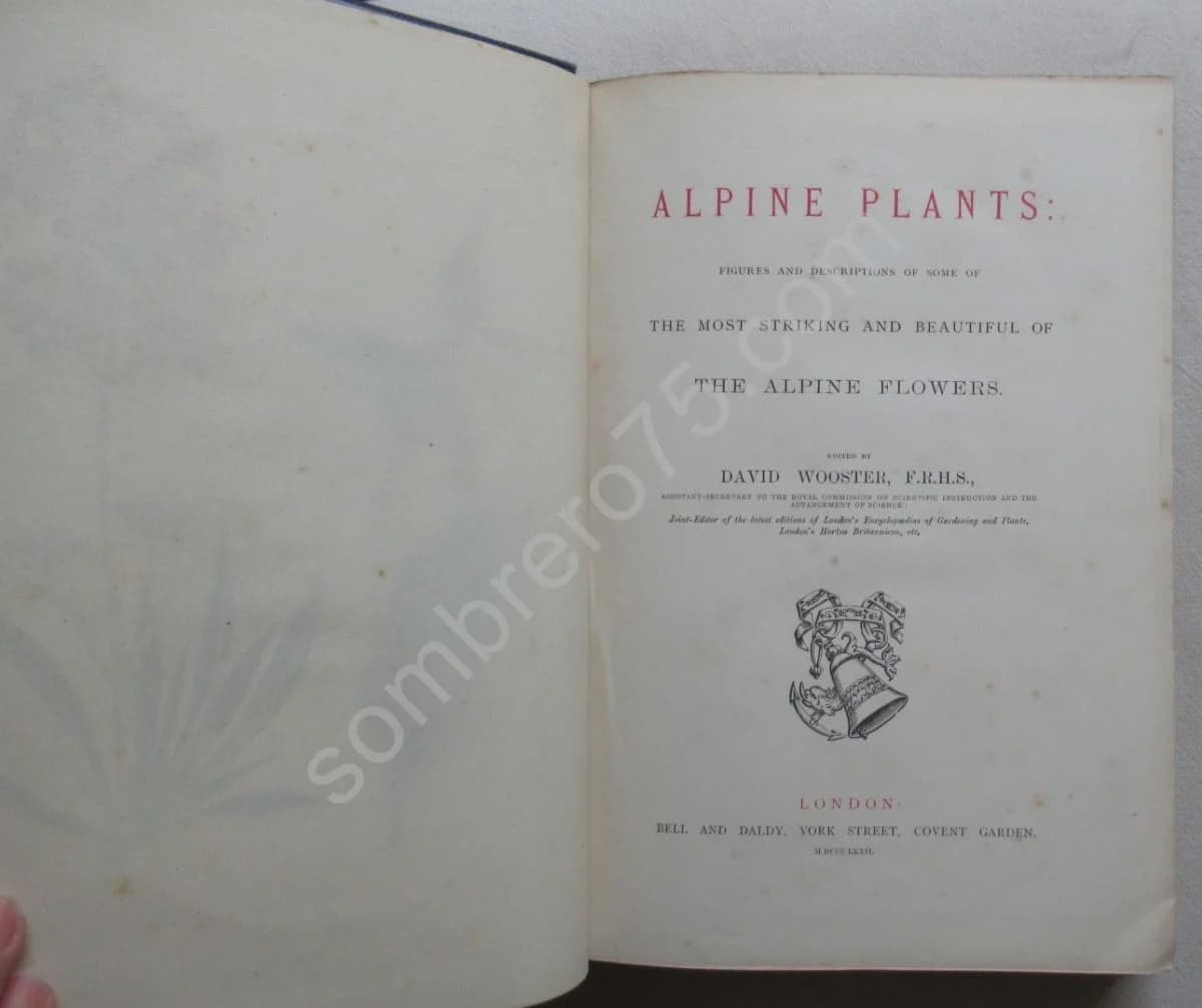 Alpine Plants - Image 3