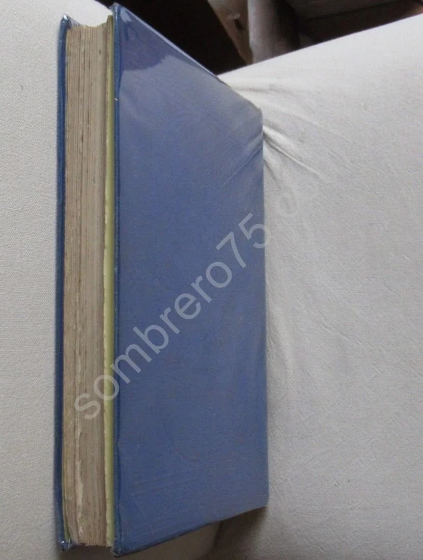 Alpine Plants - Image 9