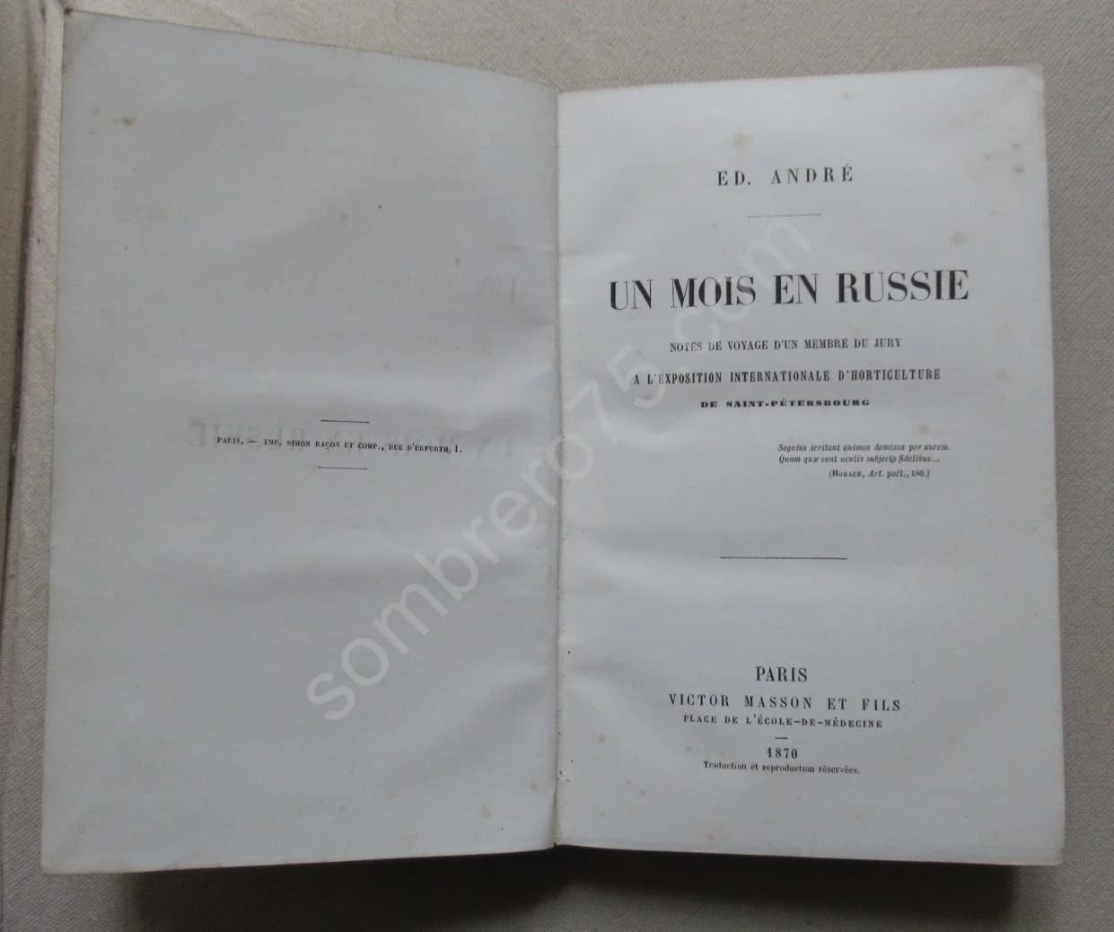 Un Mois en Russie. Jardins en Russie - Image 2