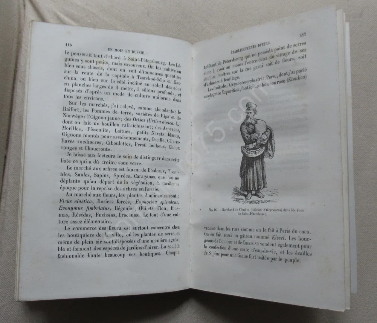 Un Mois en Russie. Jardins en Russie - Image 4