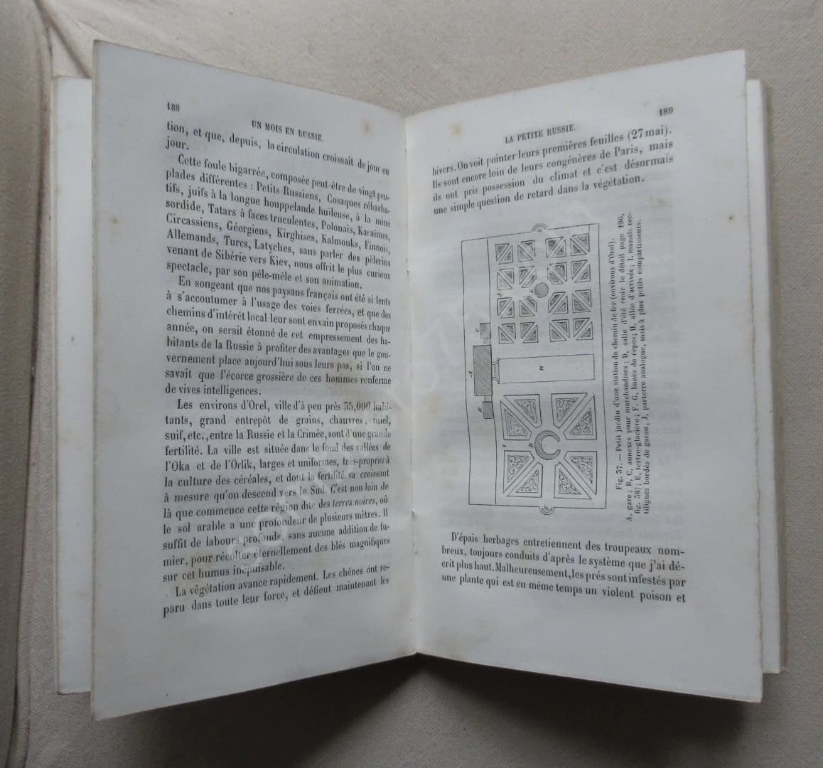 Un Mois en Russie. Jardins en Russie - Image 5