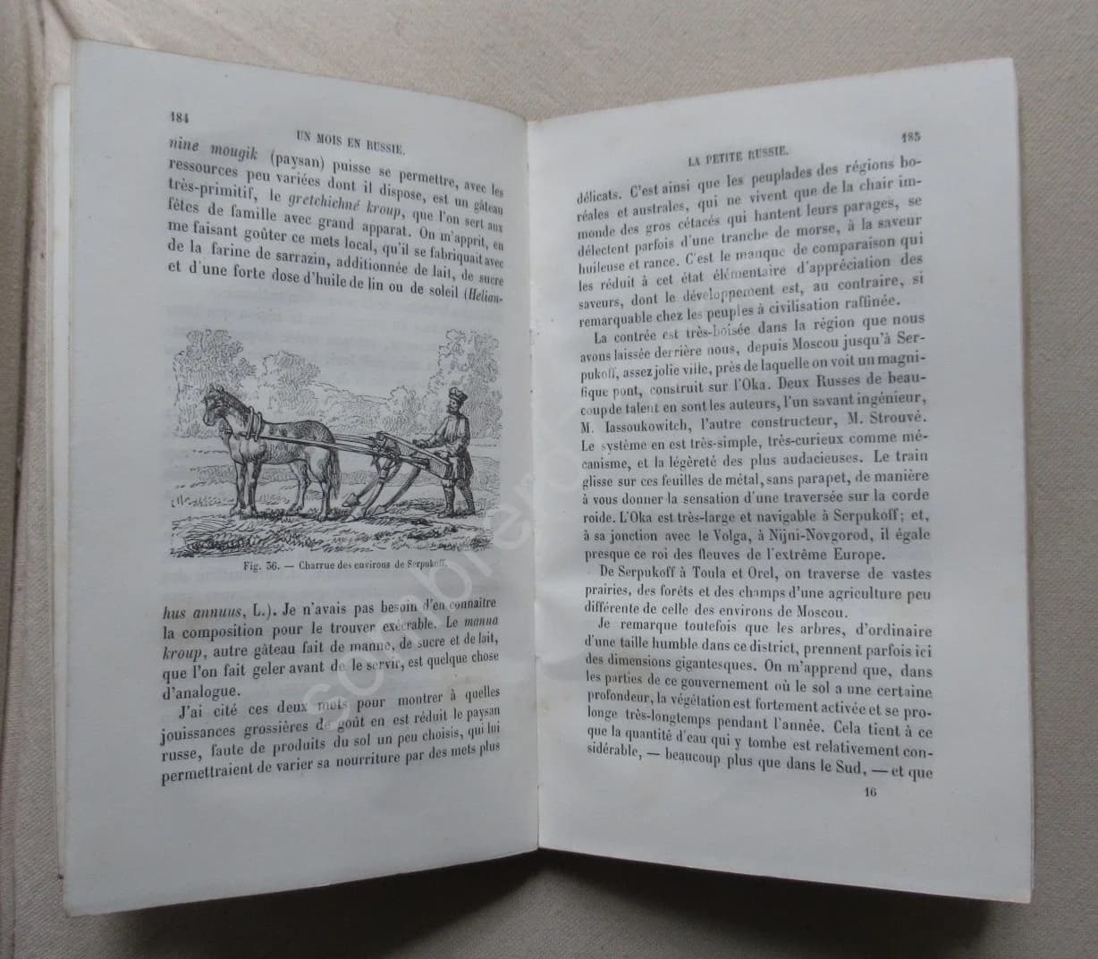 Un Mois en Russie. Jardins en Russie - Image 6