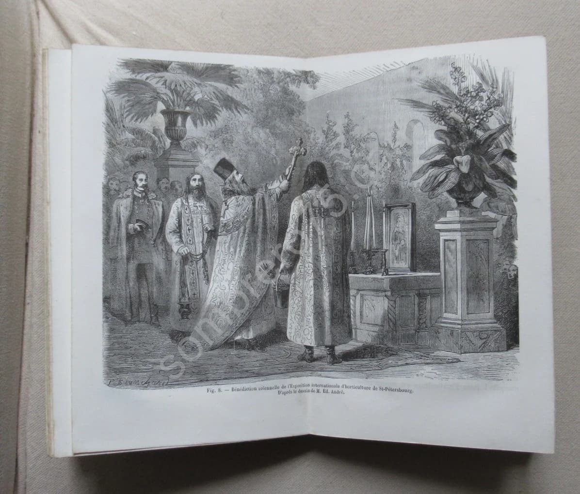 Un Mois en Russie. Jardins en Russie - Image 7