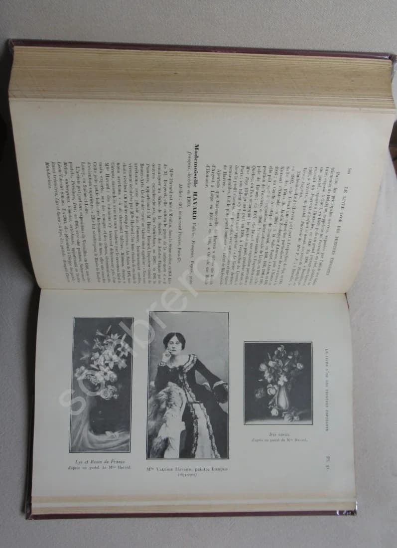 Le Livre d'Or des Peintres Exposants vivant au 1er janvier 1910 - Image 6