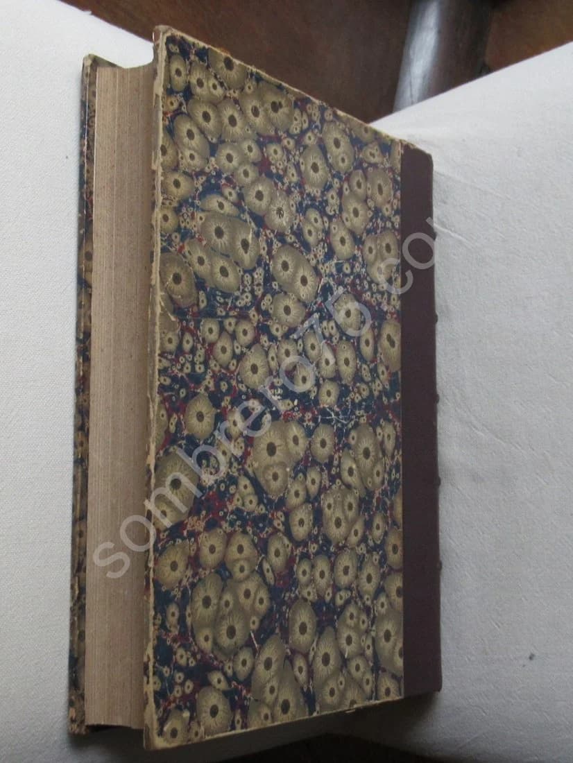 Dictionnaire Illustré des Beaux Arts - Artistes Modernes. W BOUGUEREAU. BERCHERE et TASSAERT. 1885 - Image 15