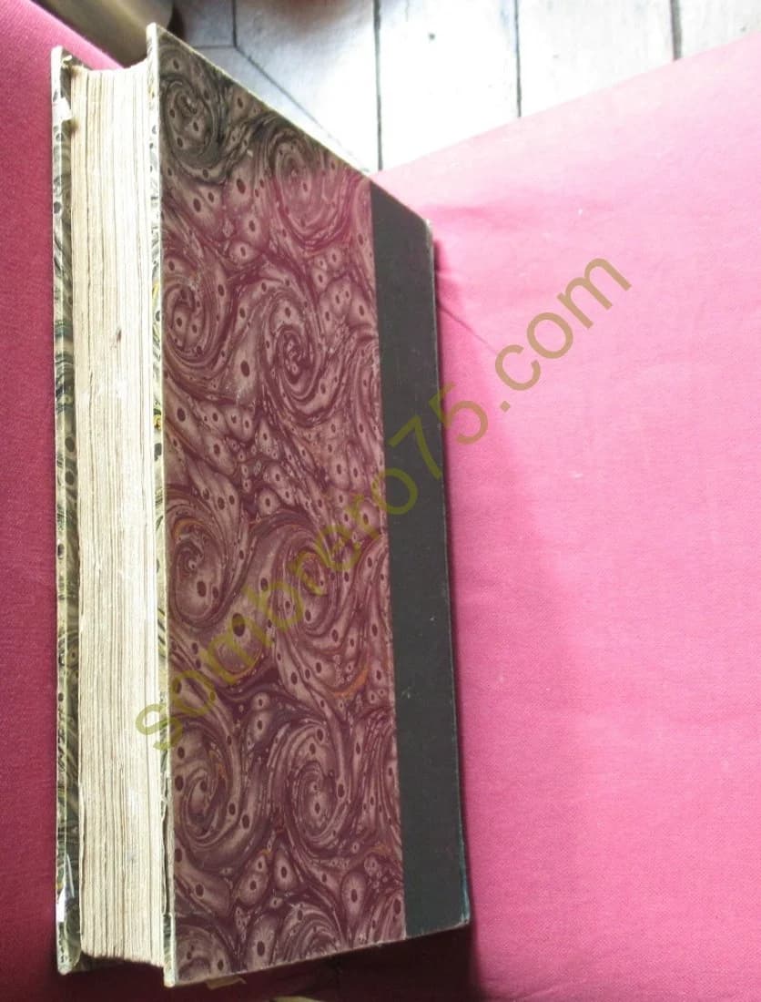 Escalades dans les Alpes de 1860 à 1869 - Image 11