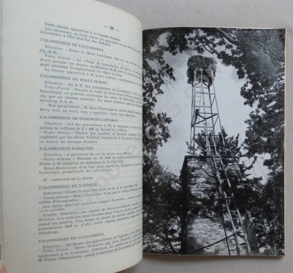 Pays Basque - La Chasse à la Palombe. Jacques de Saint Pastou - Image 5