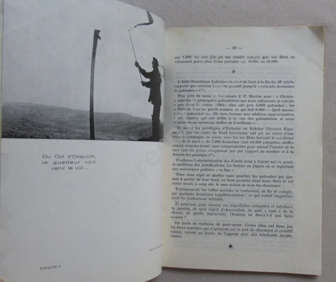 Pays Basque - La Chasse à la Palombe. Jacques de Saint Pastou - Image 6