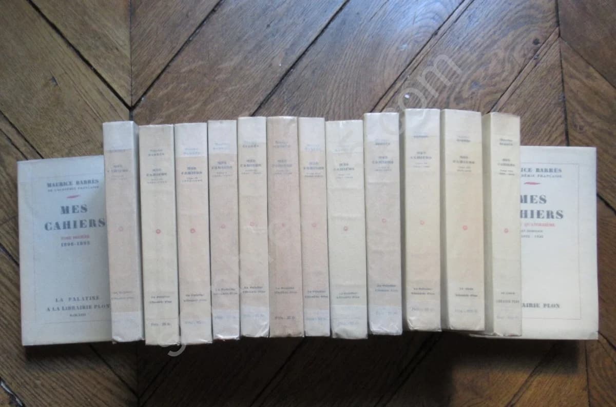 Mes Cahiers - Ex. Numéroté. 14 volumes. Alfa - Image 2