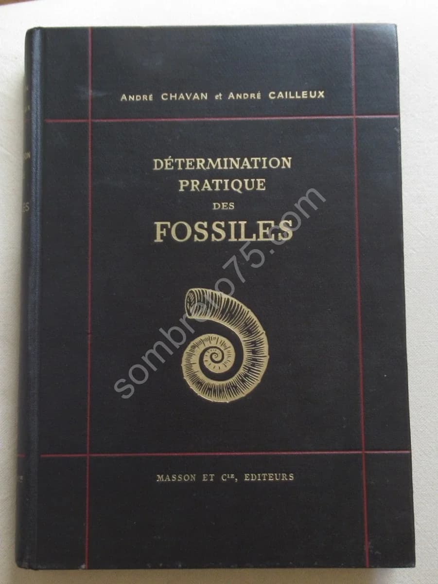 Détermination Pratique des Fossiles