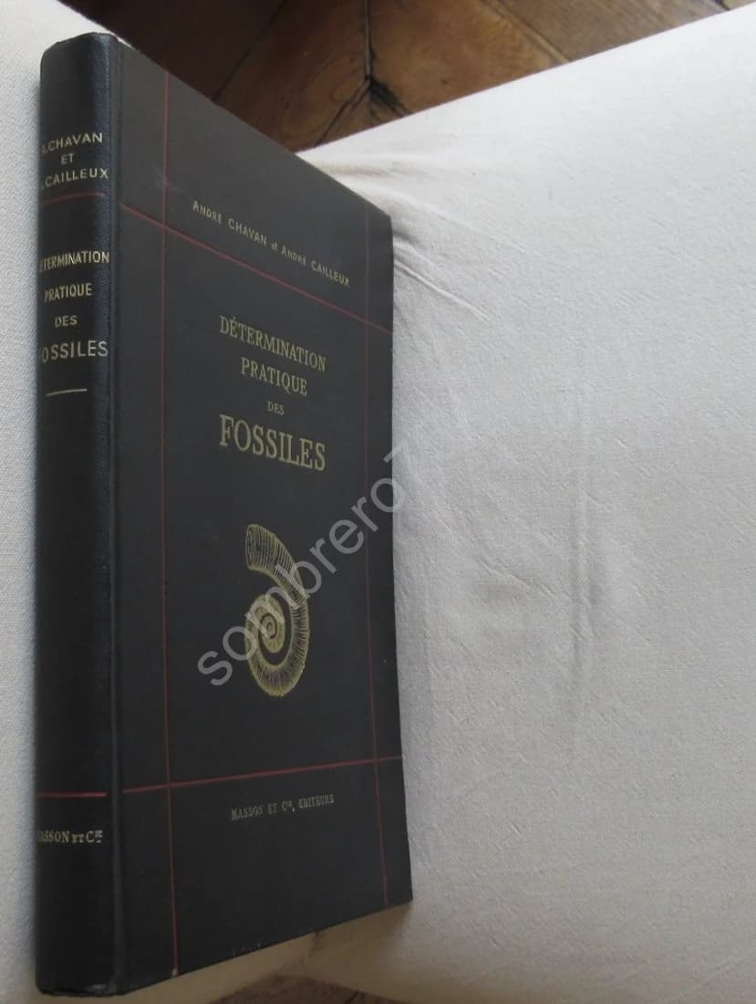 Détermination Pratique des Fossiles - Image 2