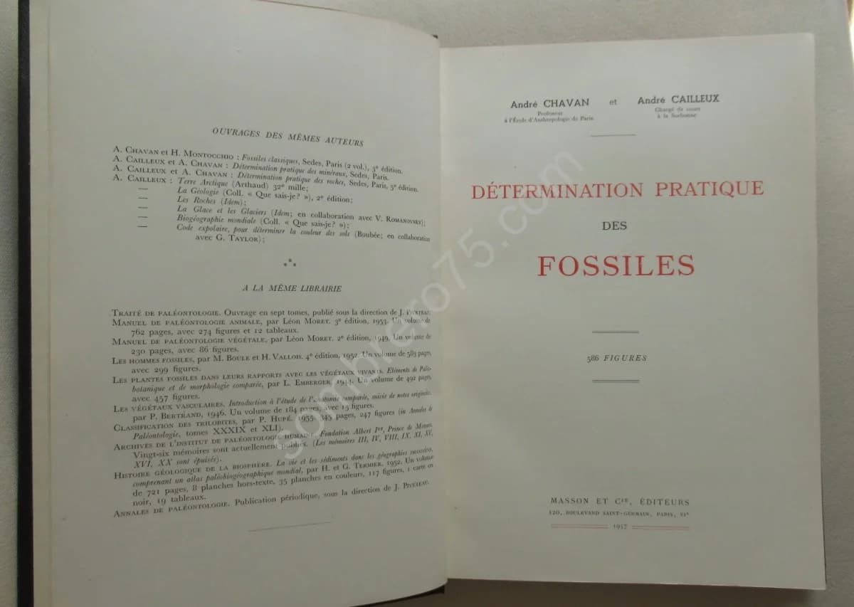 Détermination Pratique des Fossiles - Image 3