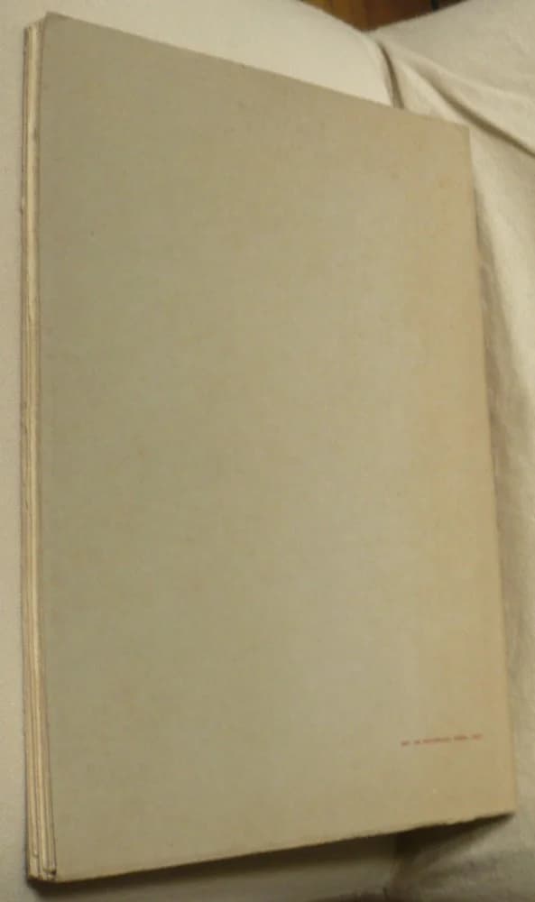 La Bécasse, ses Chasses en Provence - Image 2