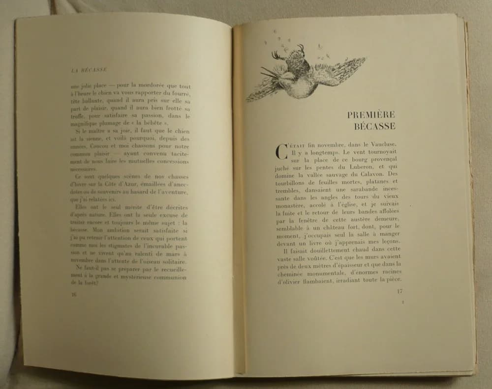 La Bécasse, ses Chasses en Provence - Image 3