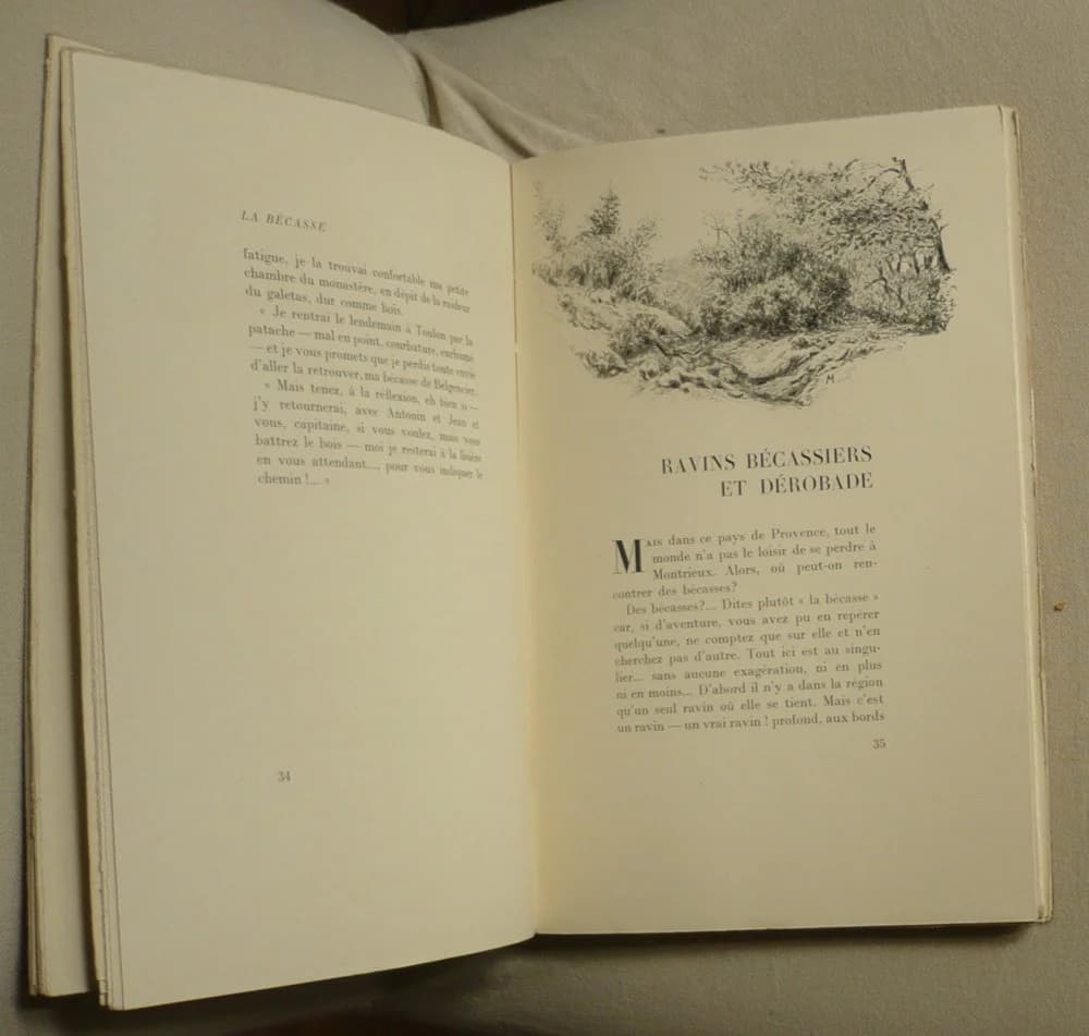 La Bécasse, ses Chasses en Provence - Image 4