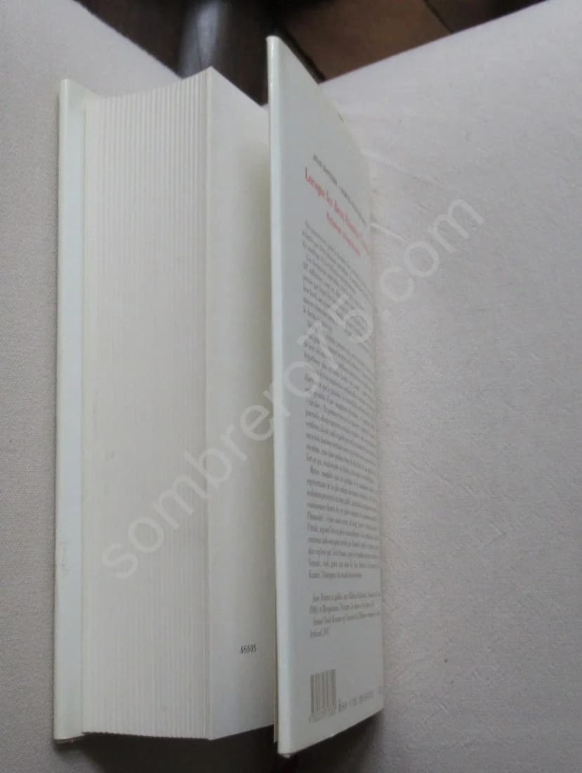 Lorsque les Dieux faisaient l'Homme. Mythologie mésopotamienne - Image 6