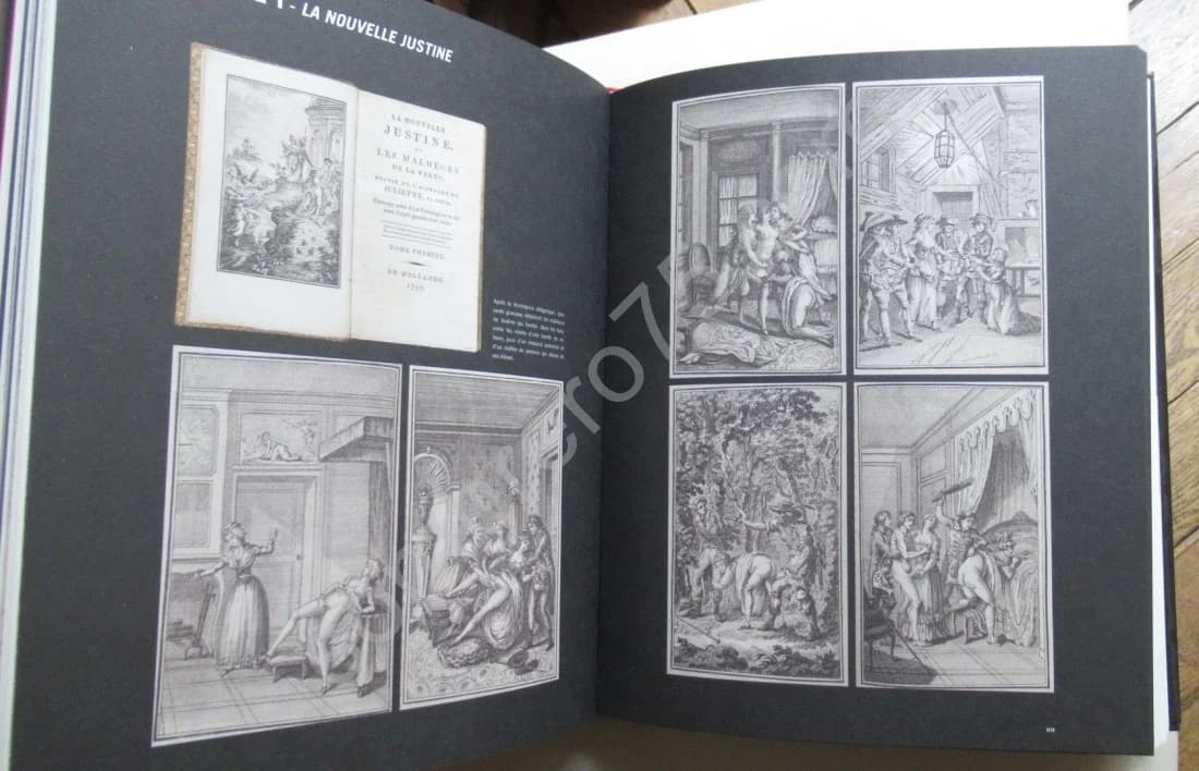 Sade Un athée en amour. Catalogue Raisonné - Image 7