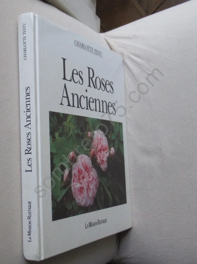 Les Roses Anciennes - Image 2