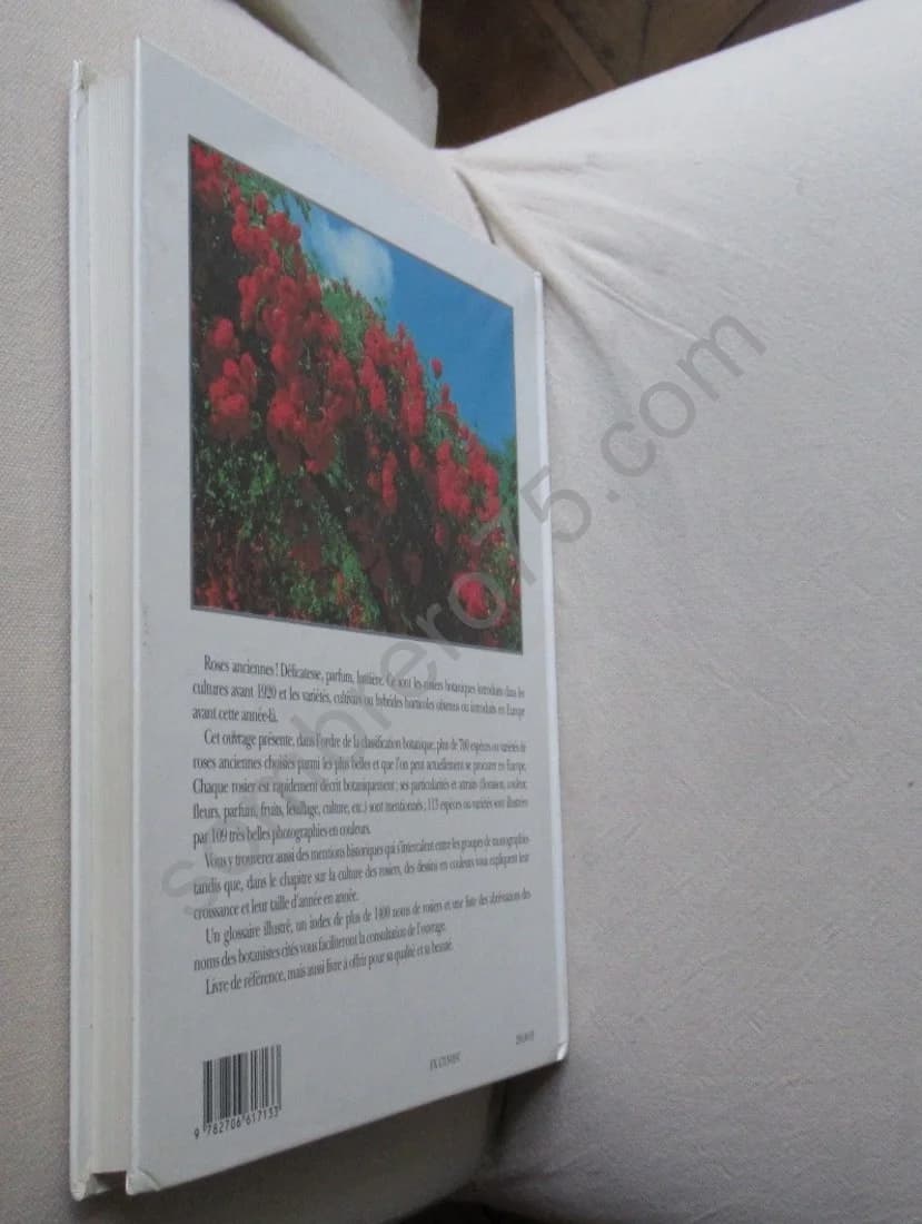 Les Roses Anciennes - Image 8