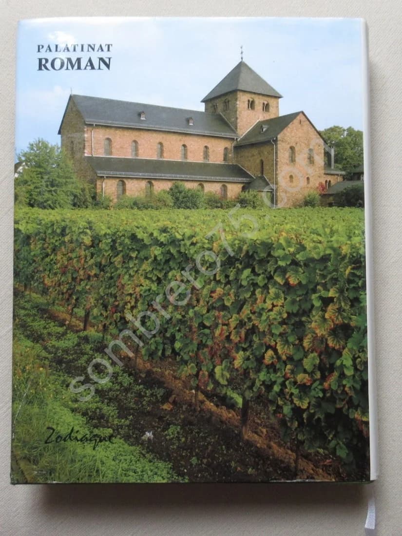 Palatinat Roman - Image 4