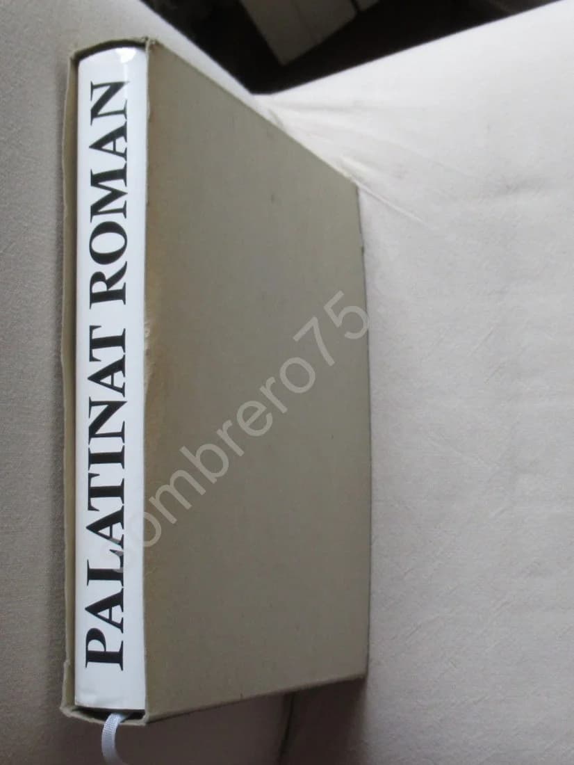 Palatinat Roman - Image 5