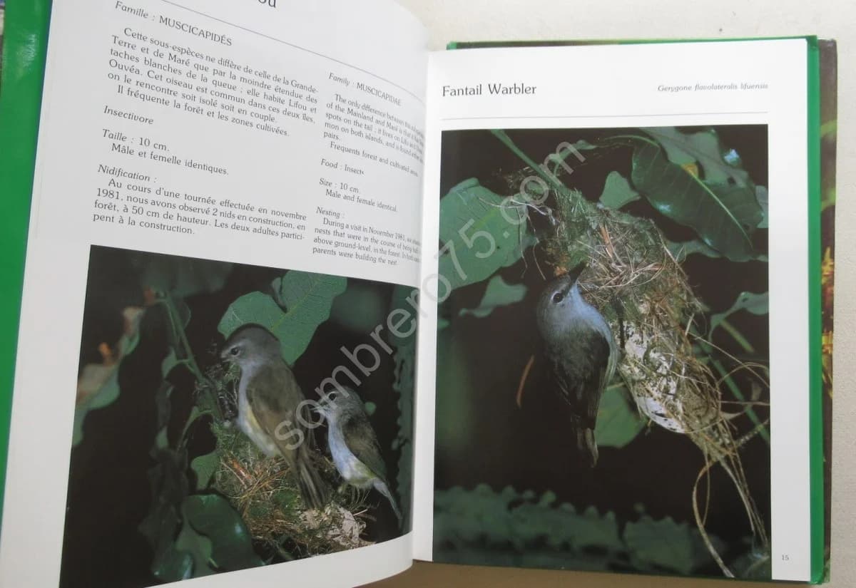 Les Oiseaux de Nelle Calédonie et des Loyautés. 2 vol - Image 4