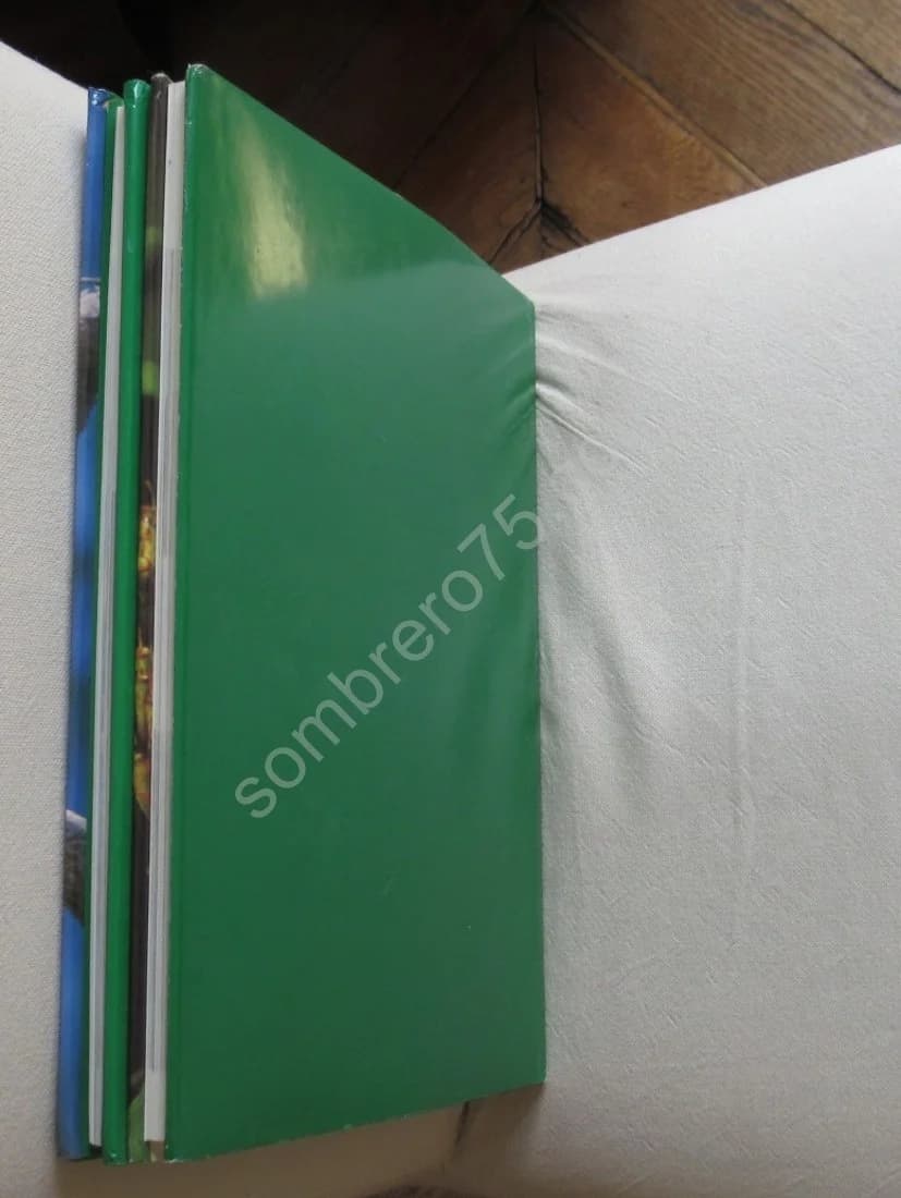 Les Oiseaux de Nelle Calédonie et des Loyautés. 2 vol - Image 5