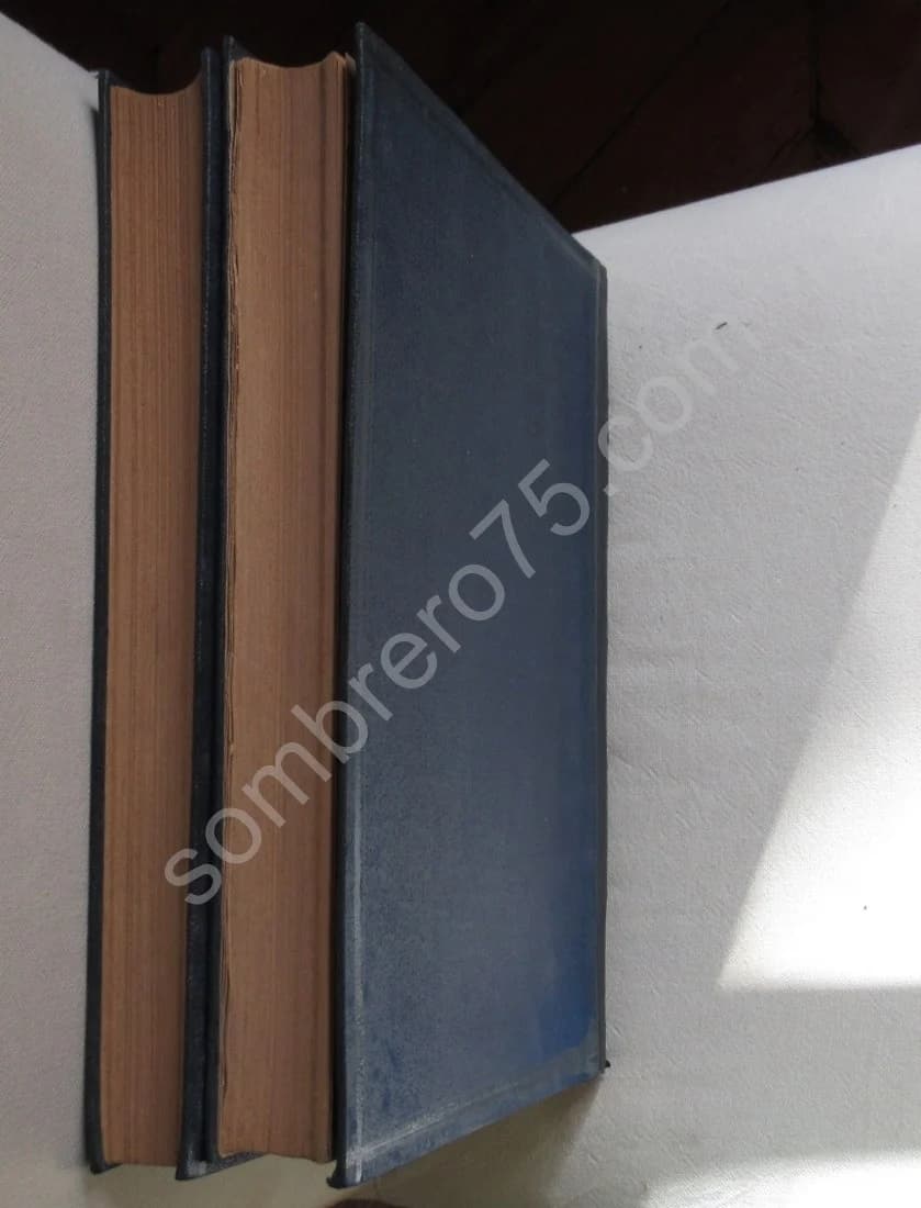 Les Merveilles de l'Exposition 1889. 2 volumes - Image 11