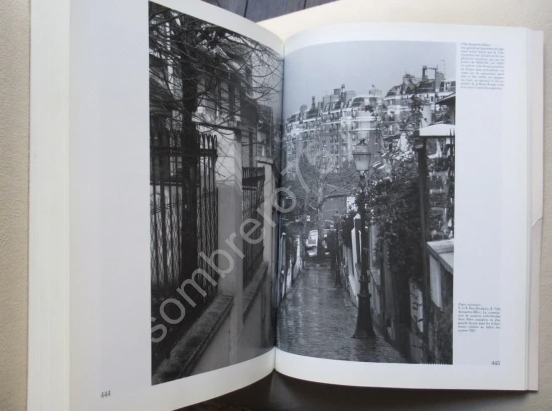 Paris XIXe siècle. L'Immeuble et la Rue - Image 4