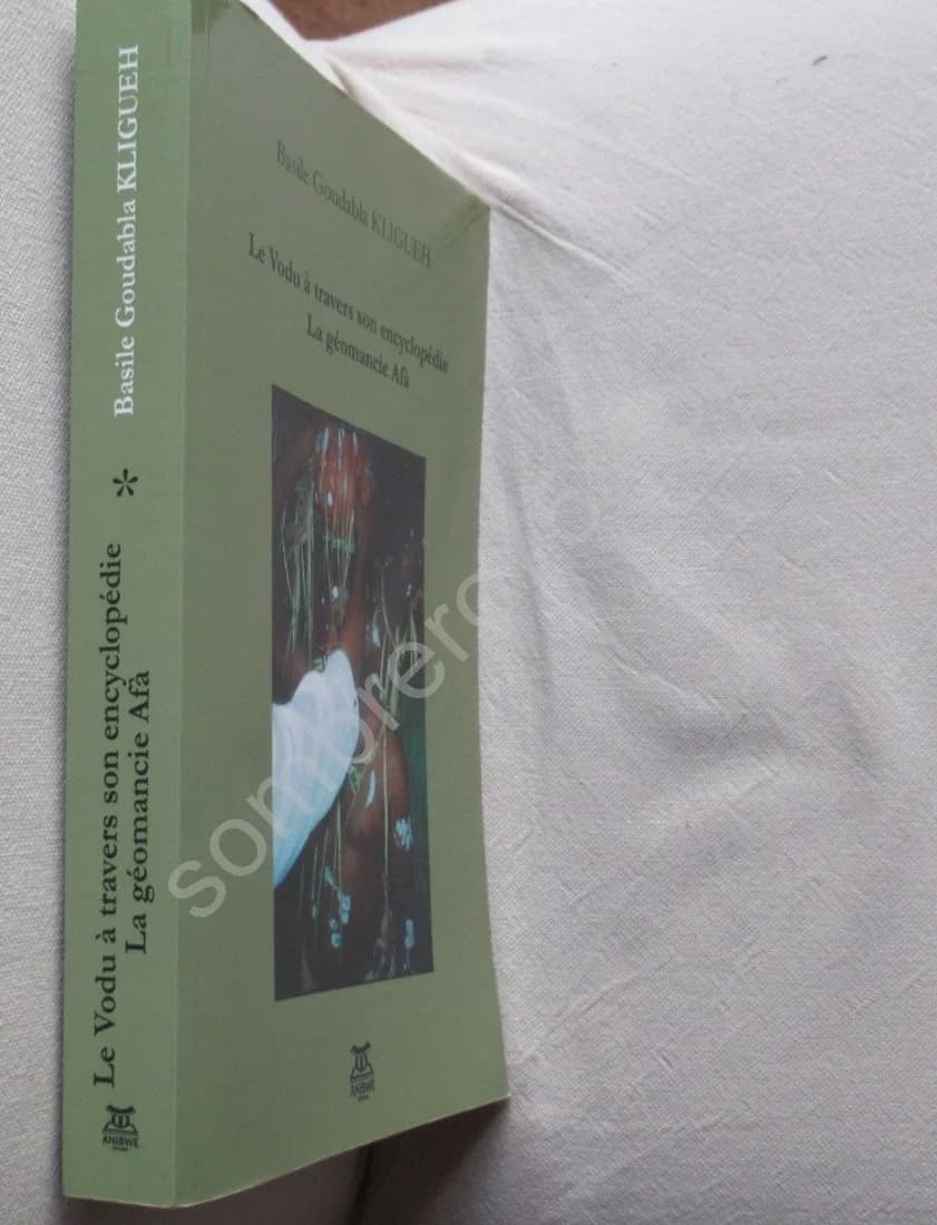 Le Vodu à travers son Encyclopédie - La Géomancie Afà - Image 2