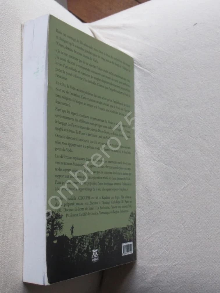Le Vodu à travers son Encyclopédie - La Géomancie Afà - Image 5