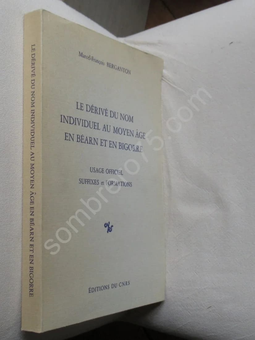 Le Dérivé du Nom Individuel au Moyen Age en Béarn et en Bigorre - Image 2