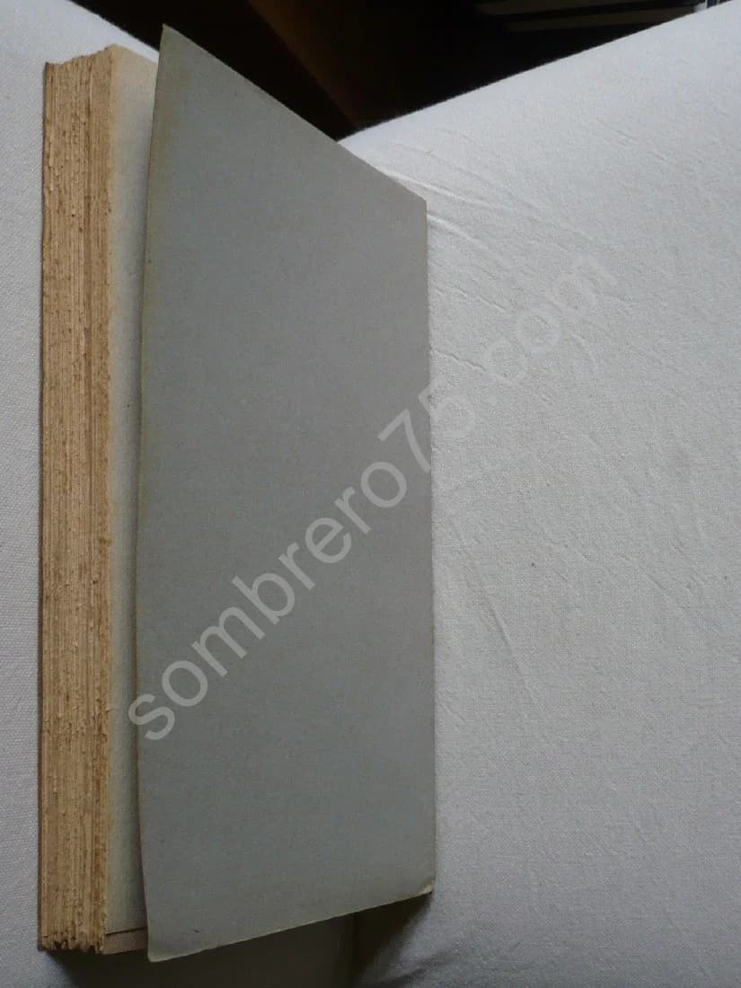 Technique du Lancer Léger - Image 6