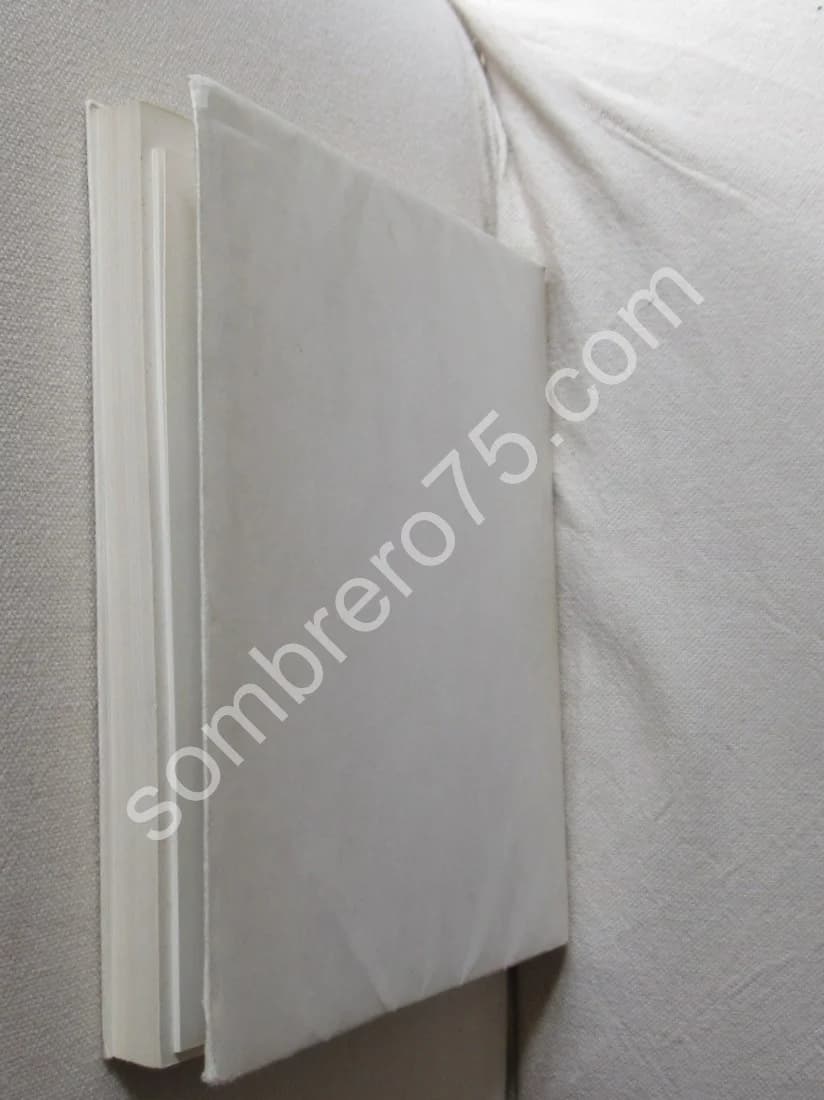 Picasso - 347 gravures - Galerie Leiris - Mars à octobre 1968 - Image 6