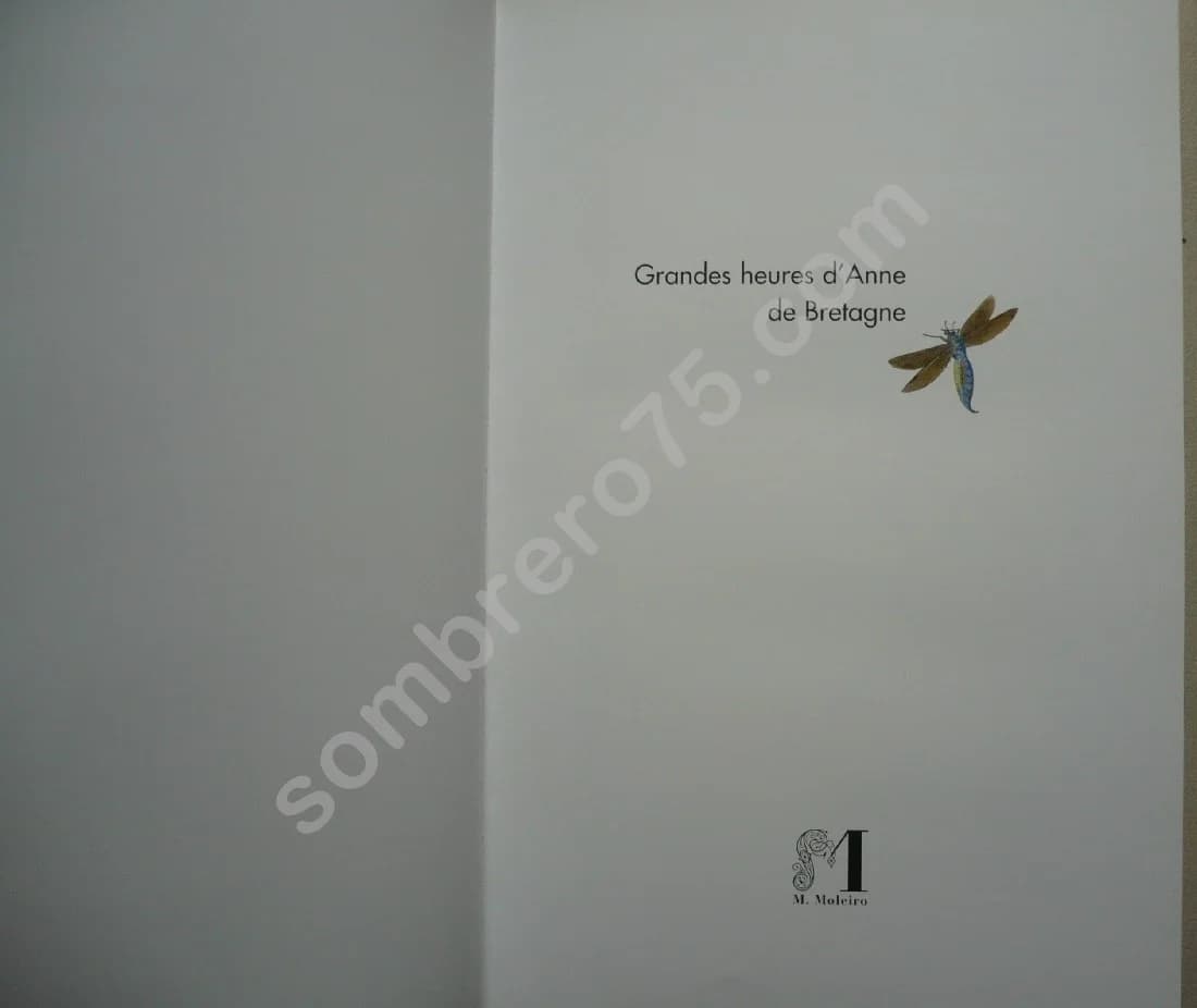 Les Grandes Heures d'Anne de Bretagne - Image 3