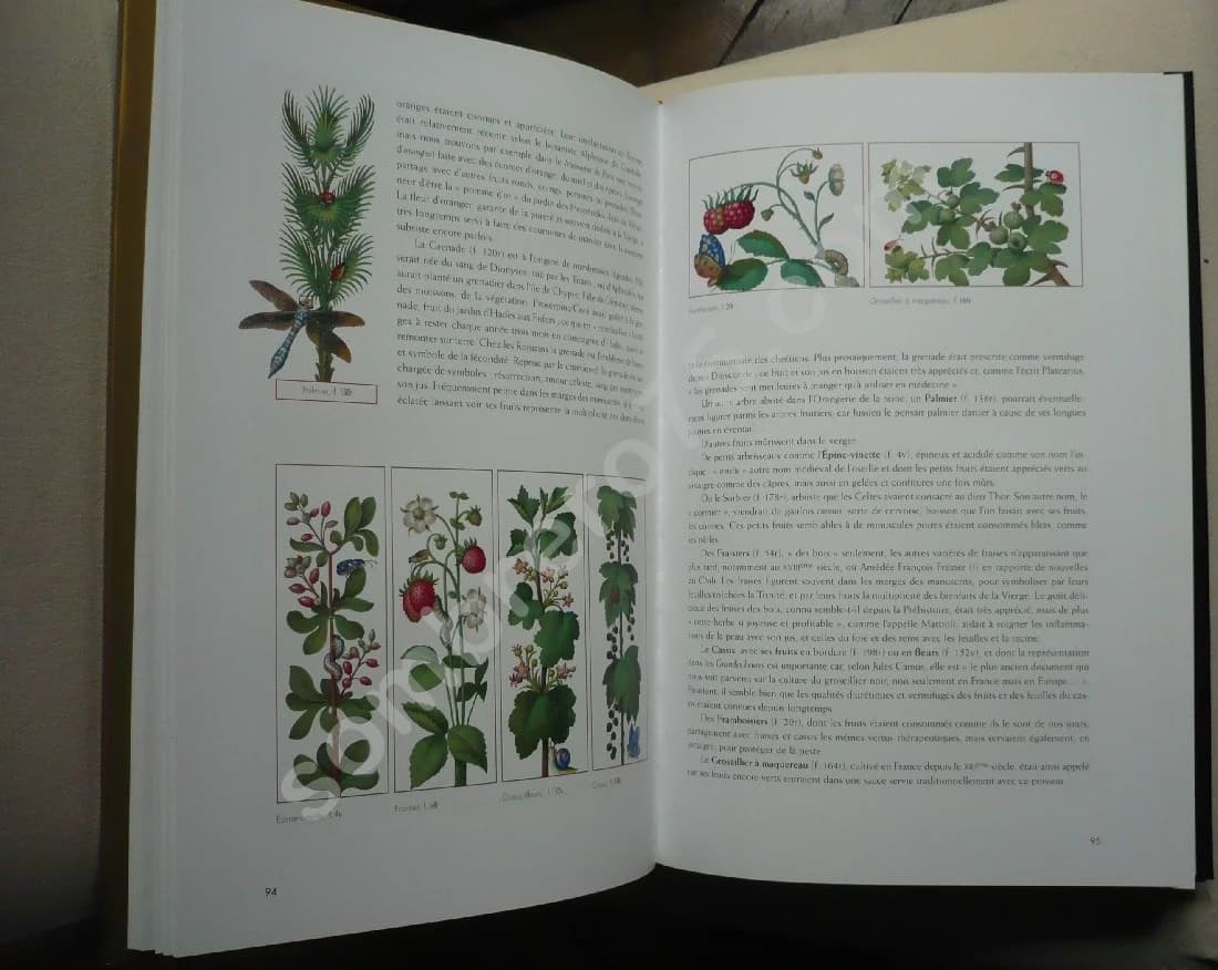 Les Grandes Heures d'Anne de Bretagne - Image 4