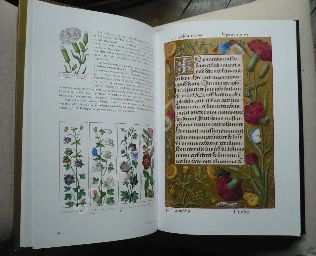 Les Grandes Heures d'Anne de Bretagne - Image 5