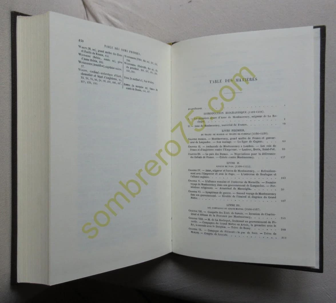 Anne de Montmorency grand maître et connétable de France - Image 3