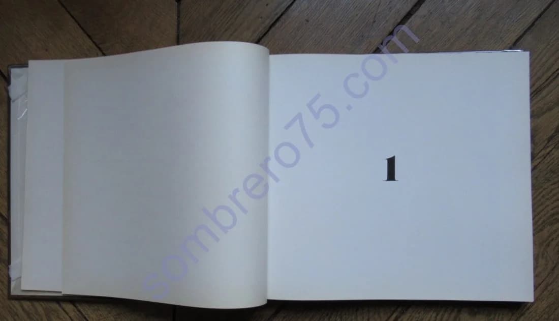 Flagrands Délits. Henri CARTIER BRESSON - Image 5