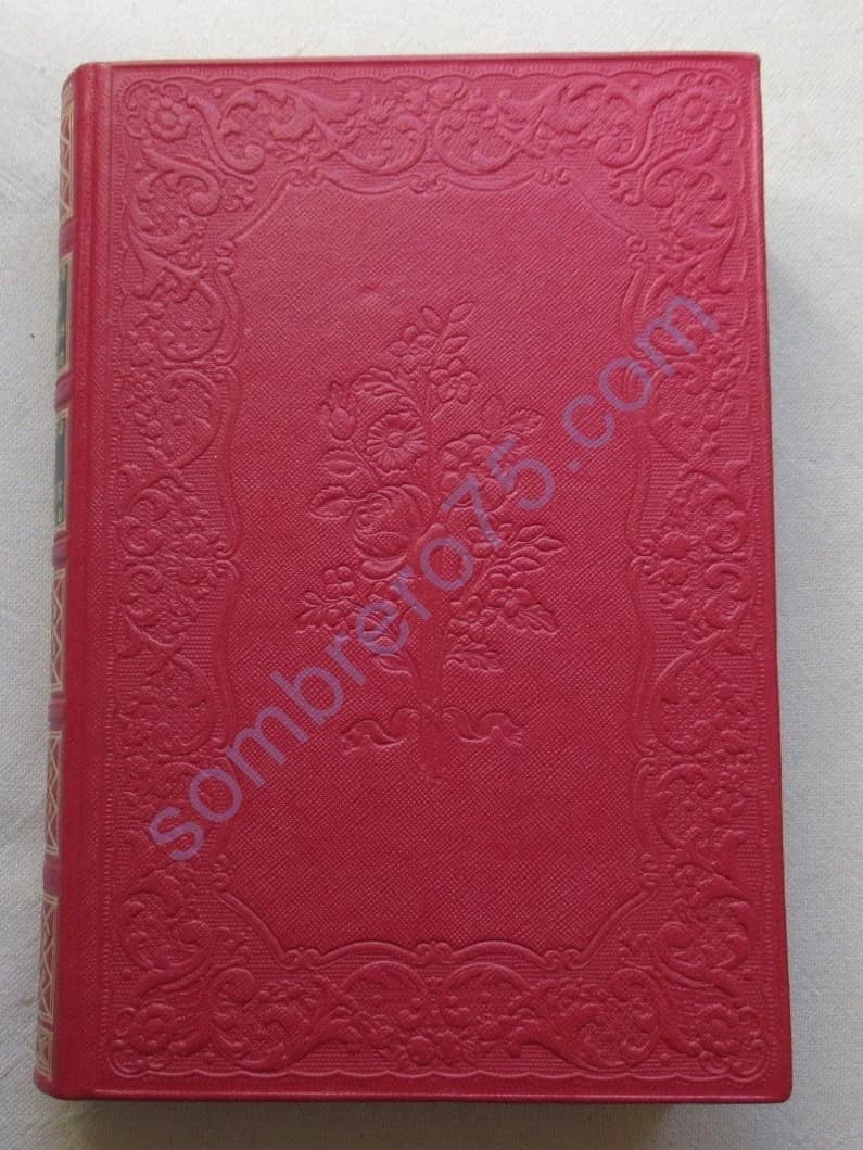 Paul et Virginie: La Chaumière Indienne - Image 2