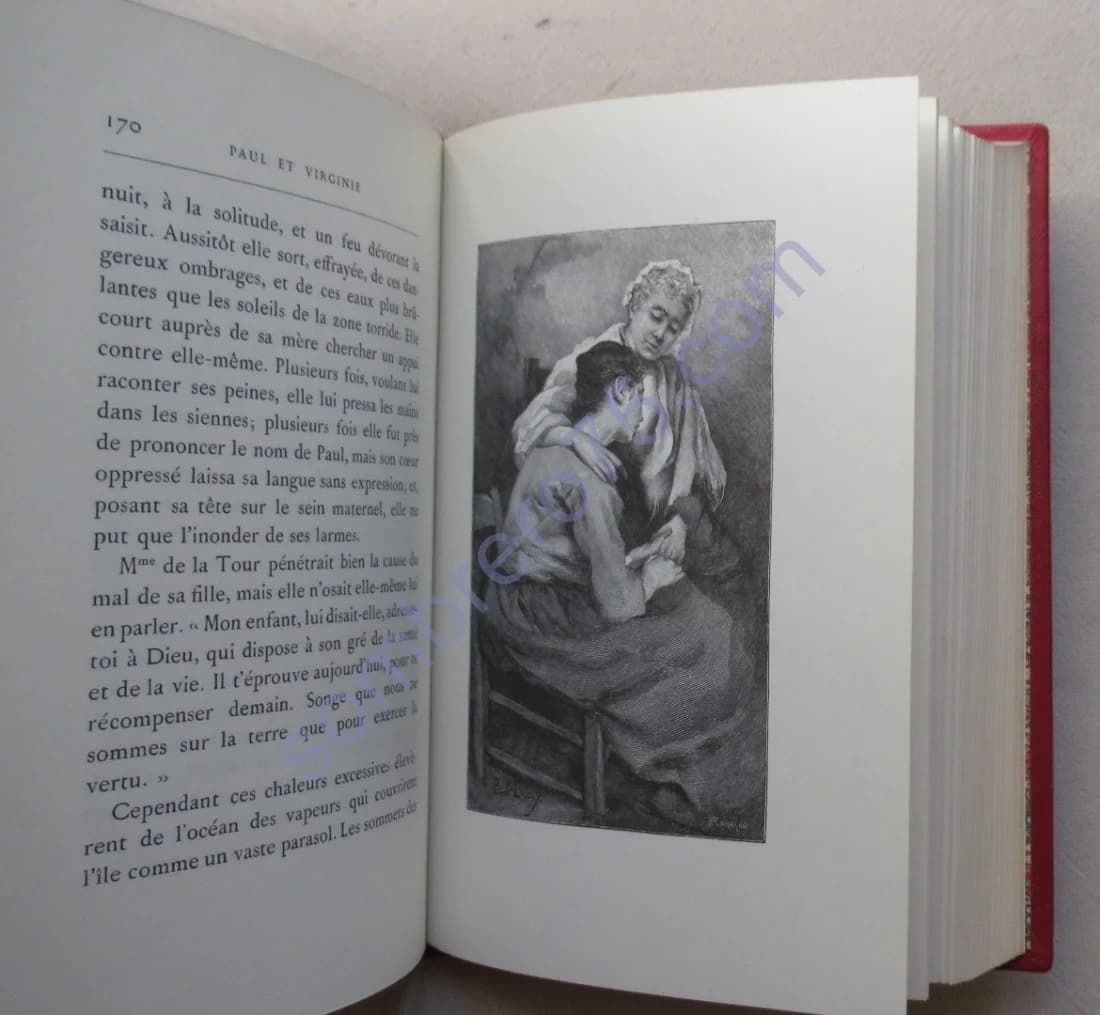 Paul et Virginie: La Chaumière Indienne - Image 5