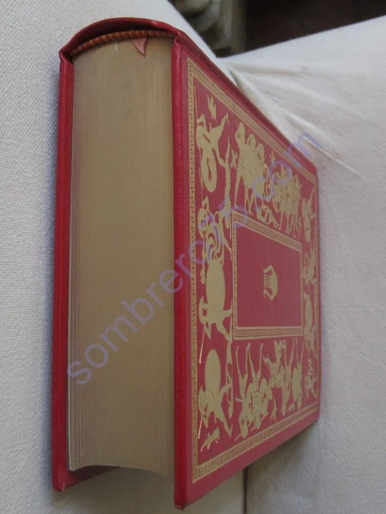 L'Iliade. Homère - Image 5