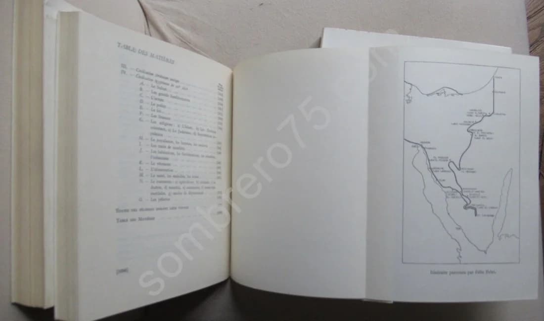 Le Voyage en Egypte de Félix FABRI. 3 Volumes - Image 4