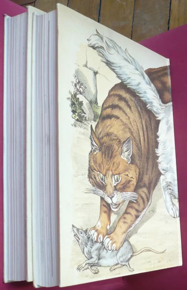 Bibliothèque Illustrée du Chat. 2 Volumes - Image 3