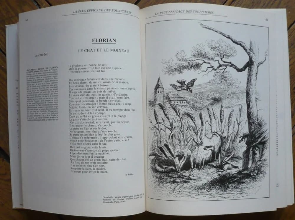 Bibliothèque Illustrée du Chat. 2 Volumes - Image 4